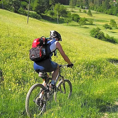 호텔 Center Pokljuka 3*